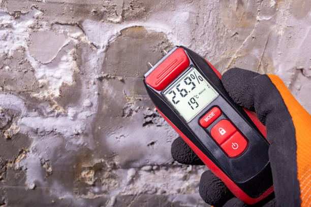 Best Kitchen Mold Remediation in Lochearn, MD