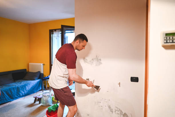 Best HVAC Mold Remediation in Lochearn, MD